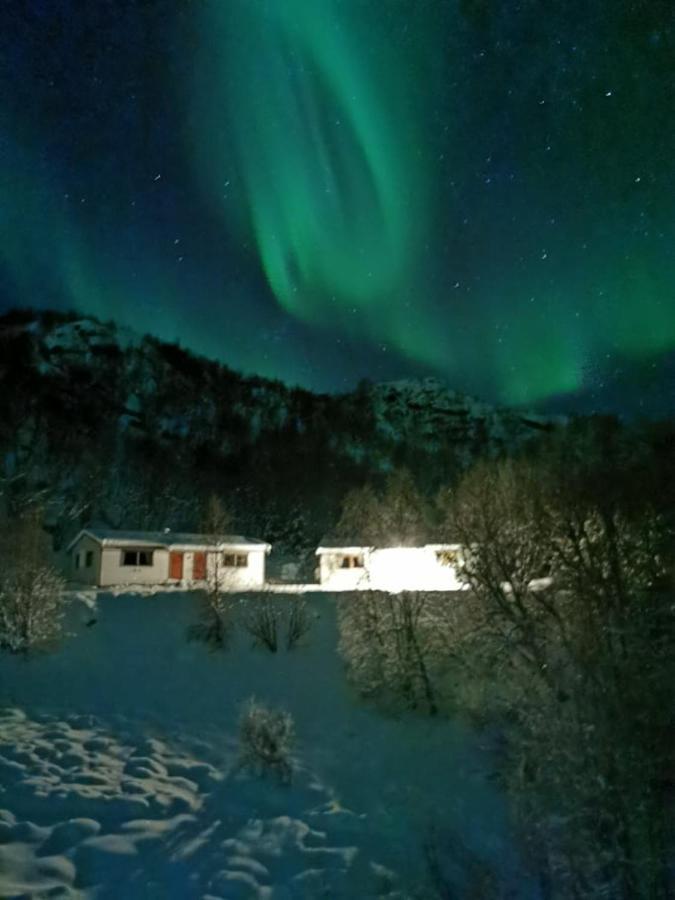 Skjellbogen Hyttegrend Сортланн Екстер'єр фото